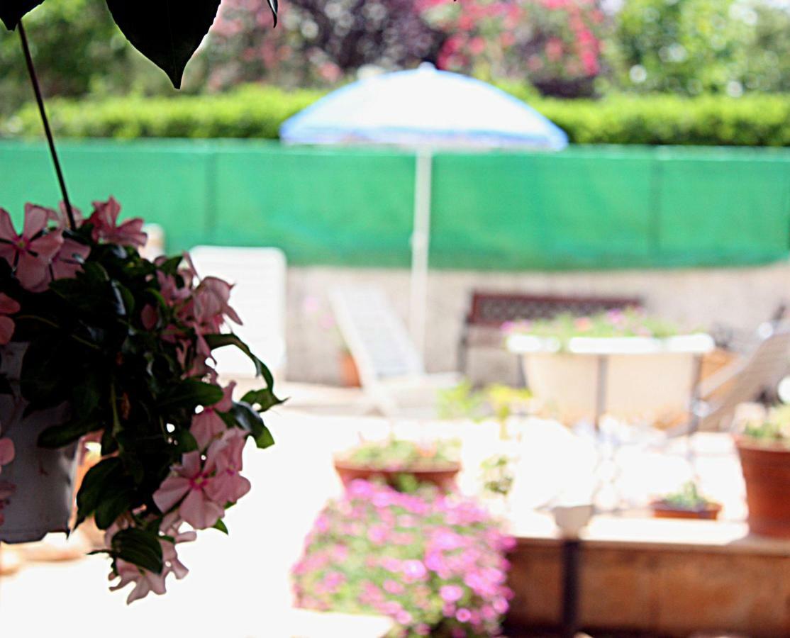 Patty Green House กัสเตลลานา กรอตเต ภายนอก รูปภาพ