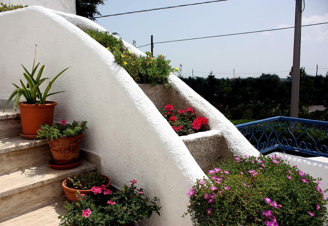 Patty Green House กัสเตลลานา กรอตเต ภายนอก รูปภาพ